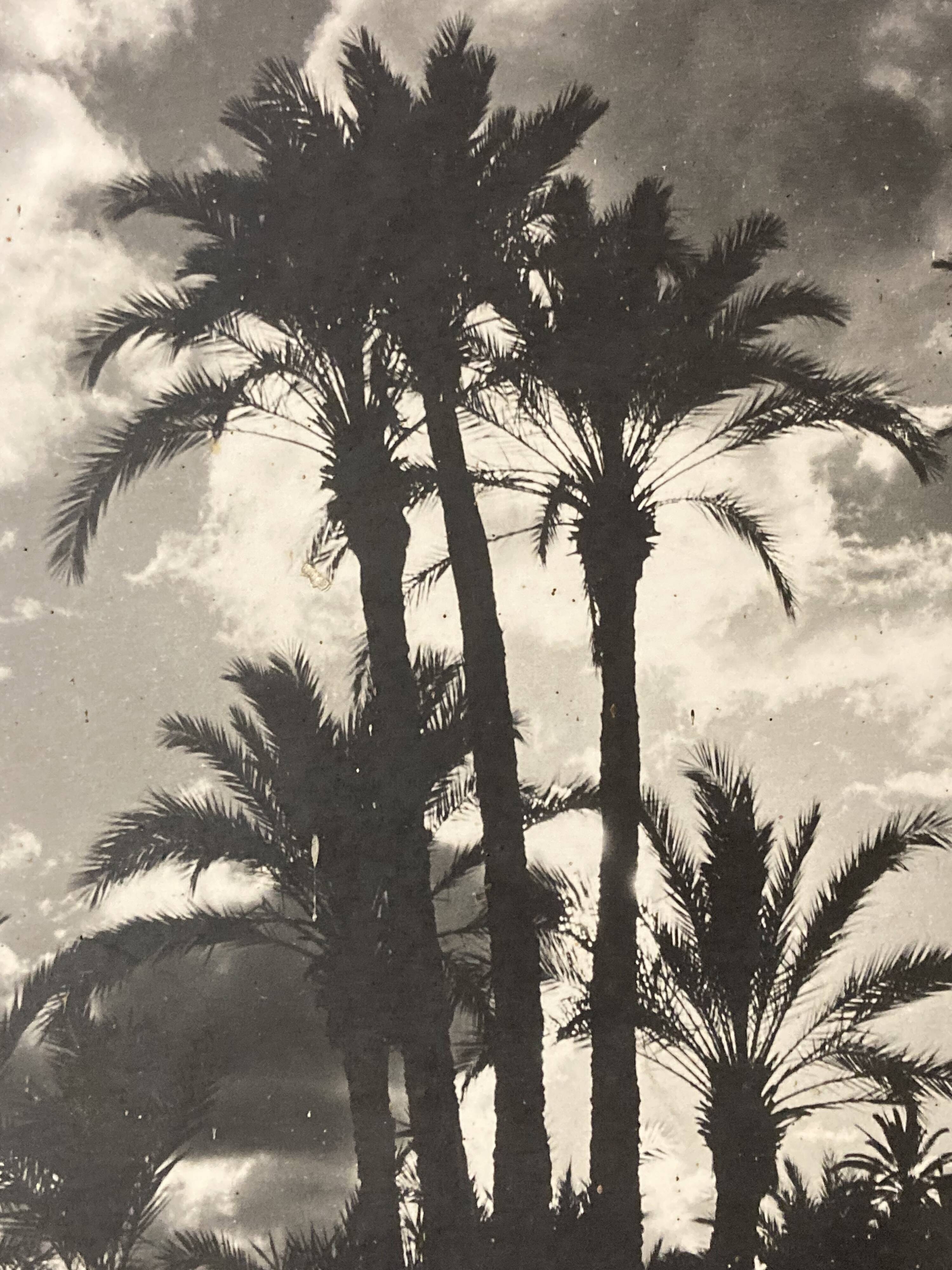 Photographie vintage sur panneau