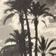 Photographie vintage sur panneau