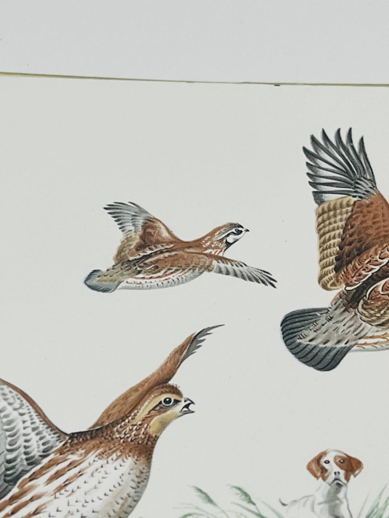 Dessous de Plat Villeroy & Boch Chasse au Chien d'Arrêt