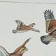 Dessous de Plat Villeroy & Boch Chasse au Chien d'Arrêt