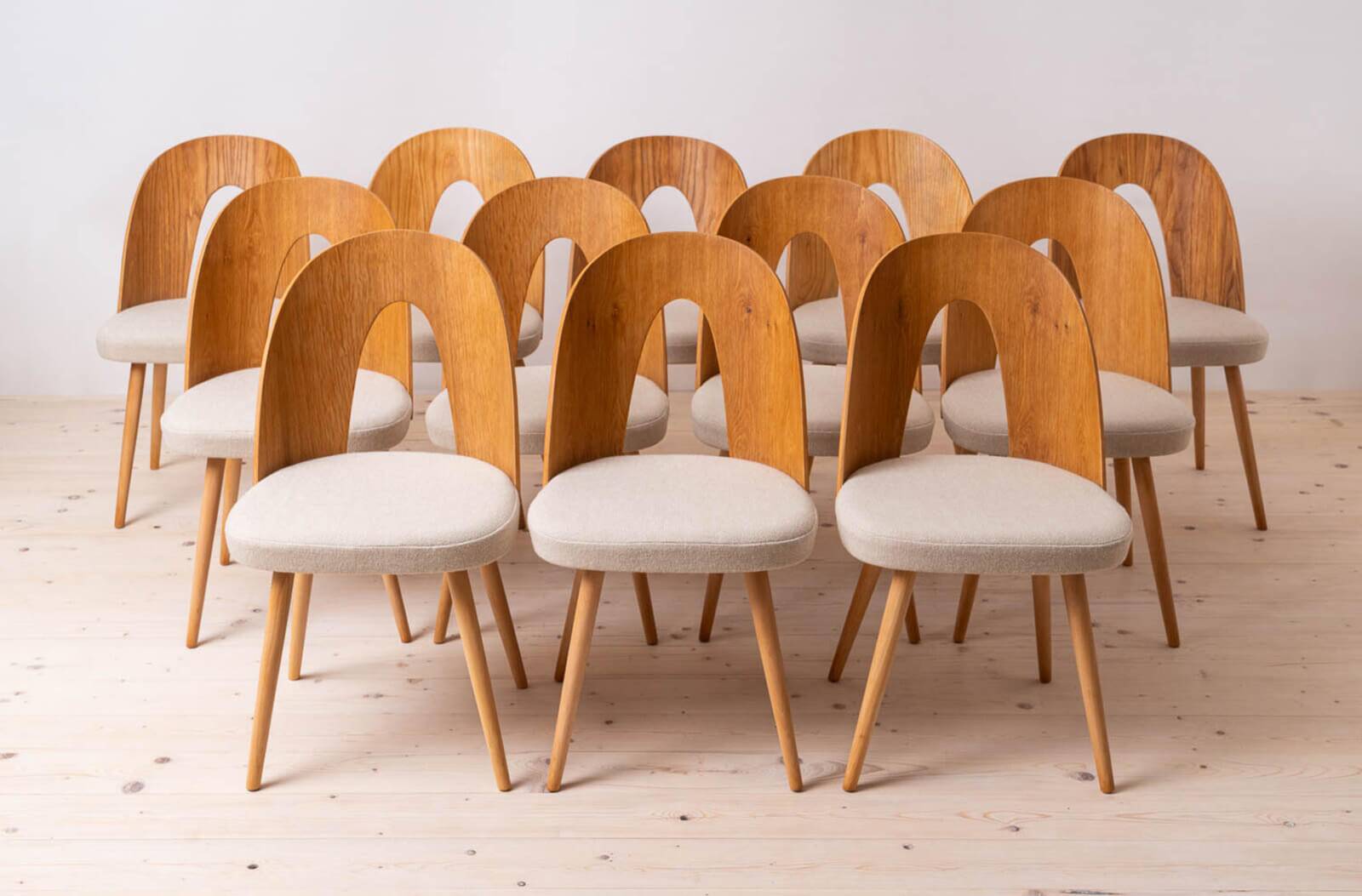 Set of 16 Mid Century Dining Chairs by A.Šuman, 1960s, Reupholstery Options