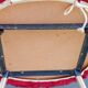 Pair of Pelfran furry chairs 1970
