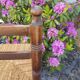 Chaise haute enfant