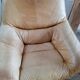 Brazilian living room sofa 2 armchairs Ep 1960 leather