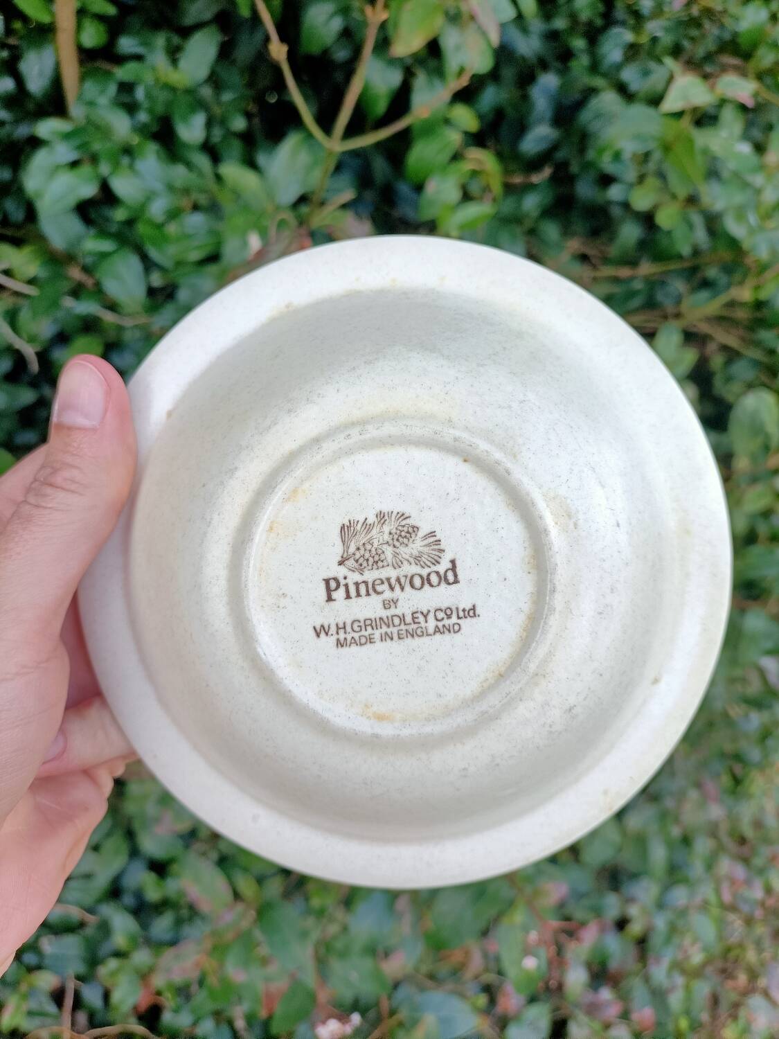 Retro bowl
