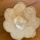 Mother-of-pearl cup