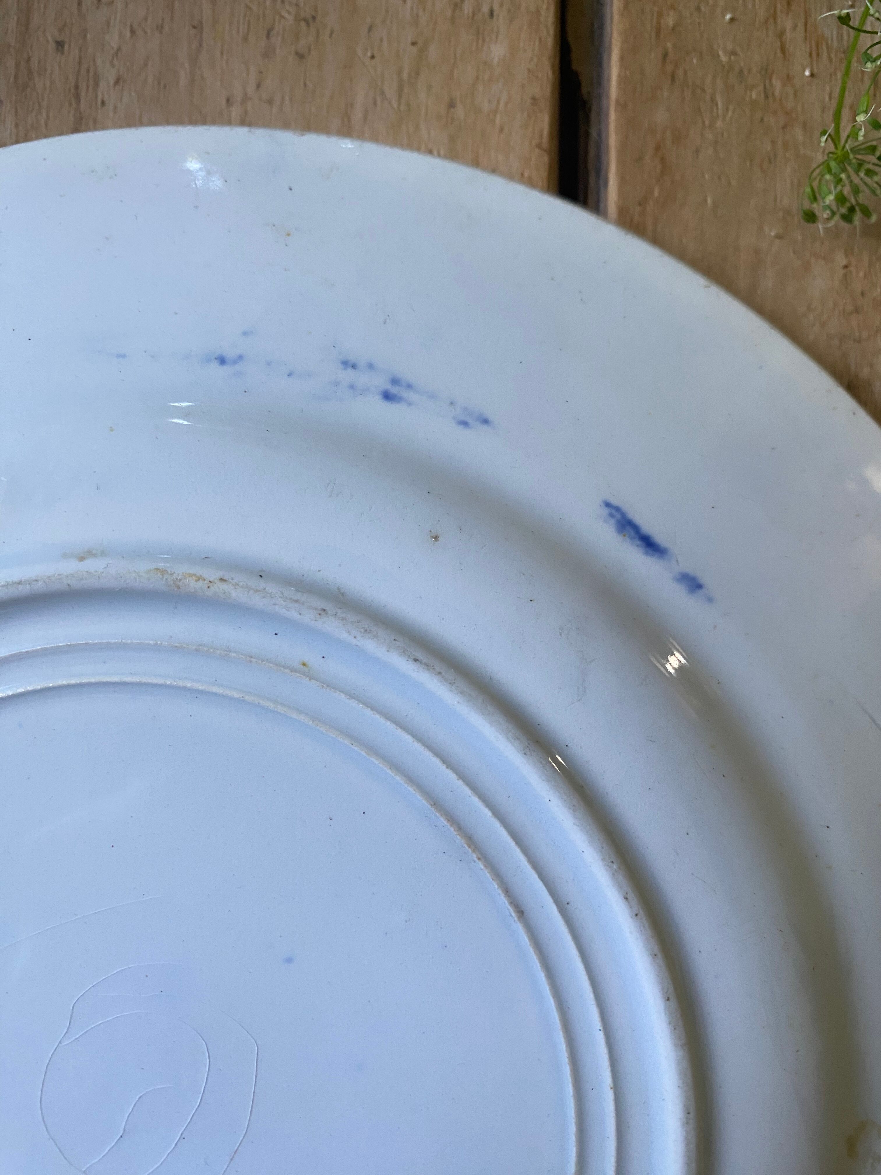 Plate decorated with blue birds and butterflies