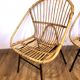 Adult rattan armchairs