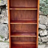 Pair of empire style mahogany bibuses