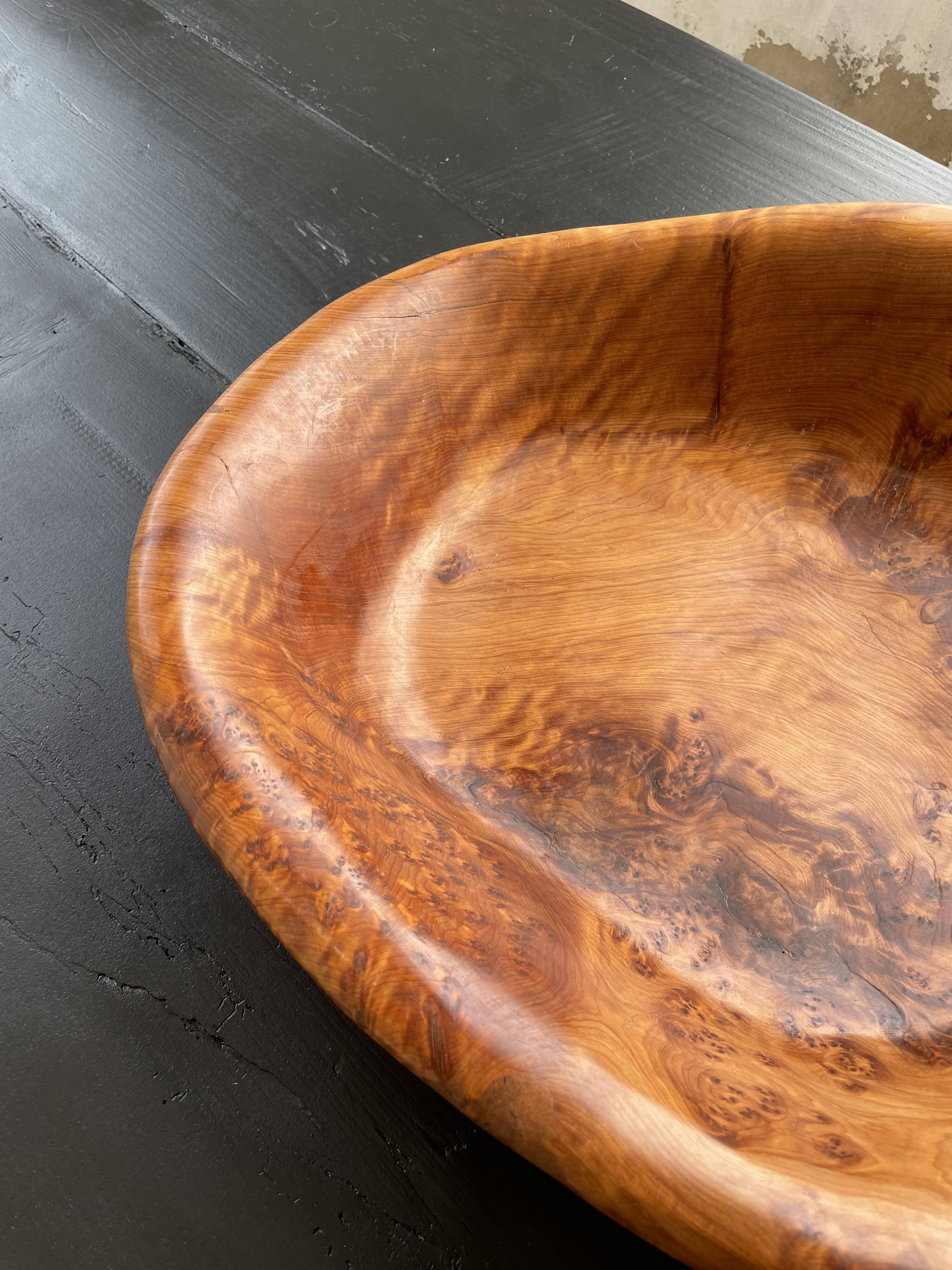 XL thuja root wooden dish