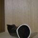 Hand black ring soliflore