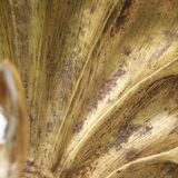 Appliques murales suédoises conçues par a.W. Borgh, coquillages de Jonkoping, Scandinavie