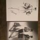 Nice illustration of mode accompanied by a press photograph by guy laroche
