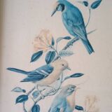 Painting with birds in an old golden frame