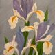 Still Life with Irises, 1931
