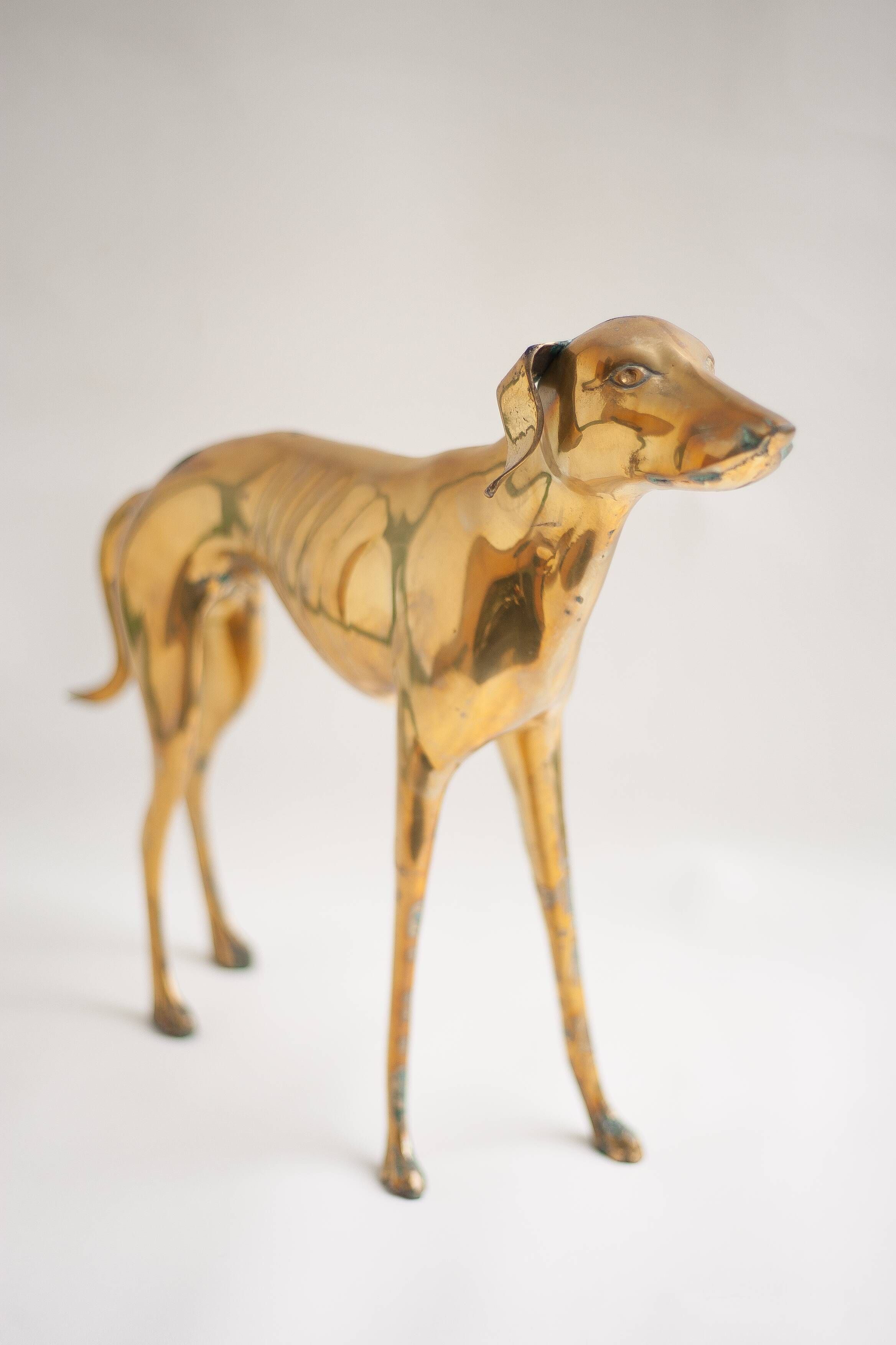 Brass dog