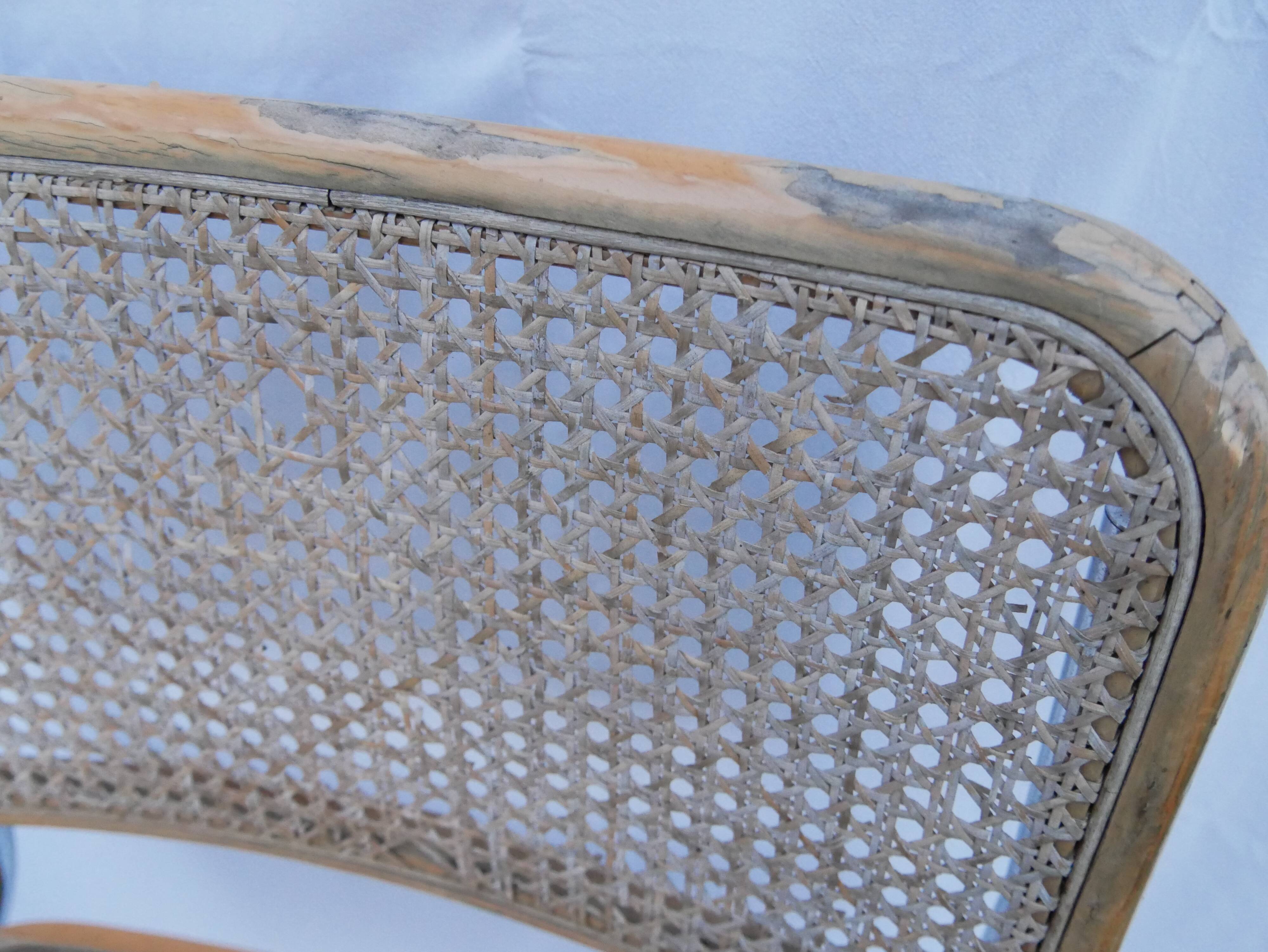 Duo of chaises Marcel Breuer model cesca b32 beech