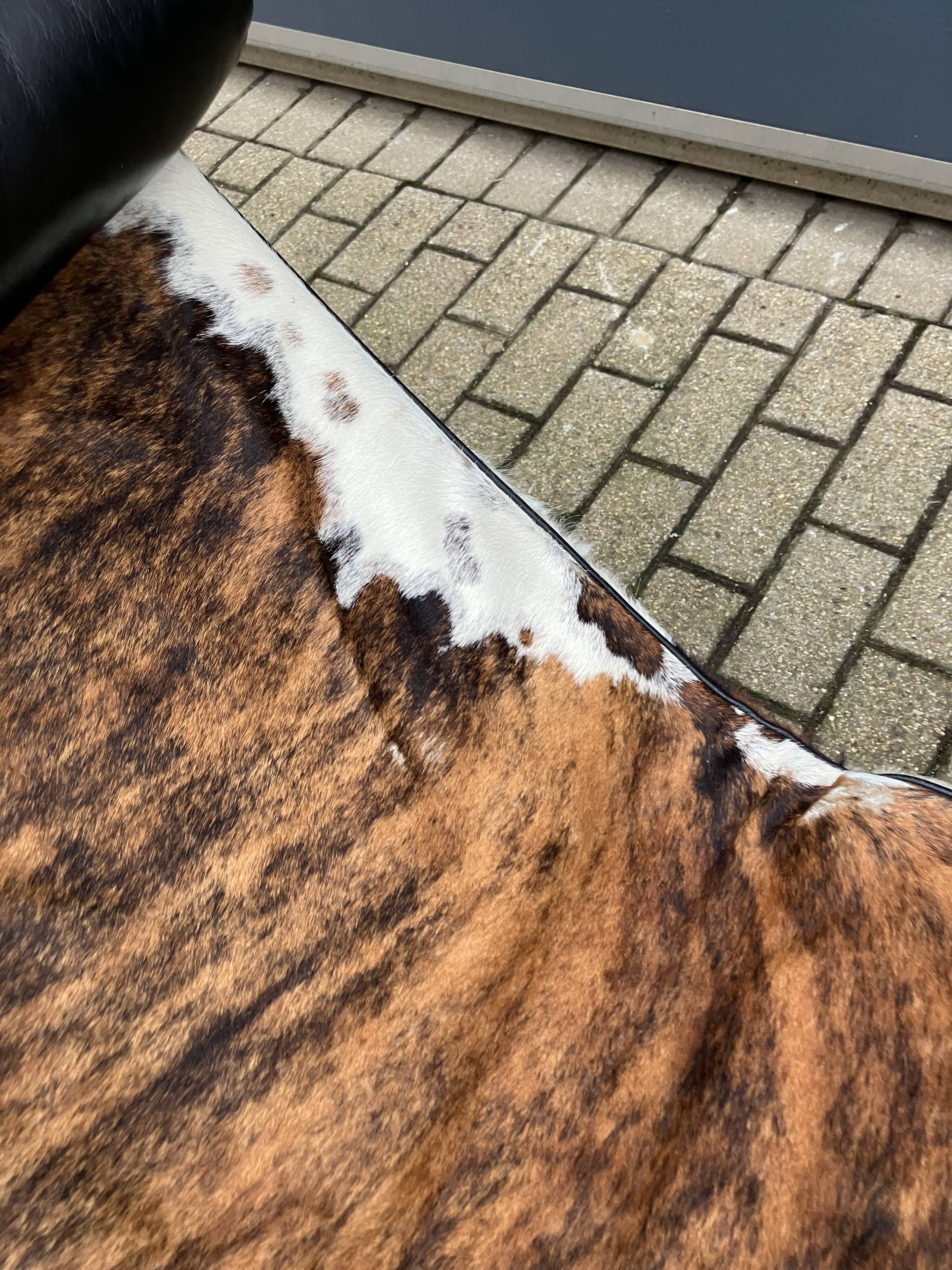 Originele Low numbered Cassina Le Corbusier Lc4 Pony skin