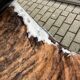 Originele Low numbered Cassina Le Corbusier Lc4 Pony skin