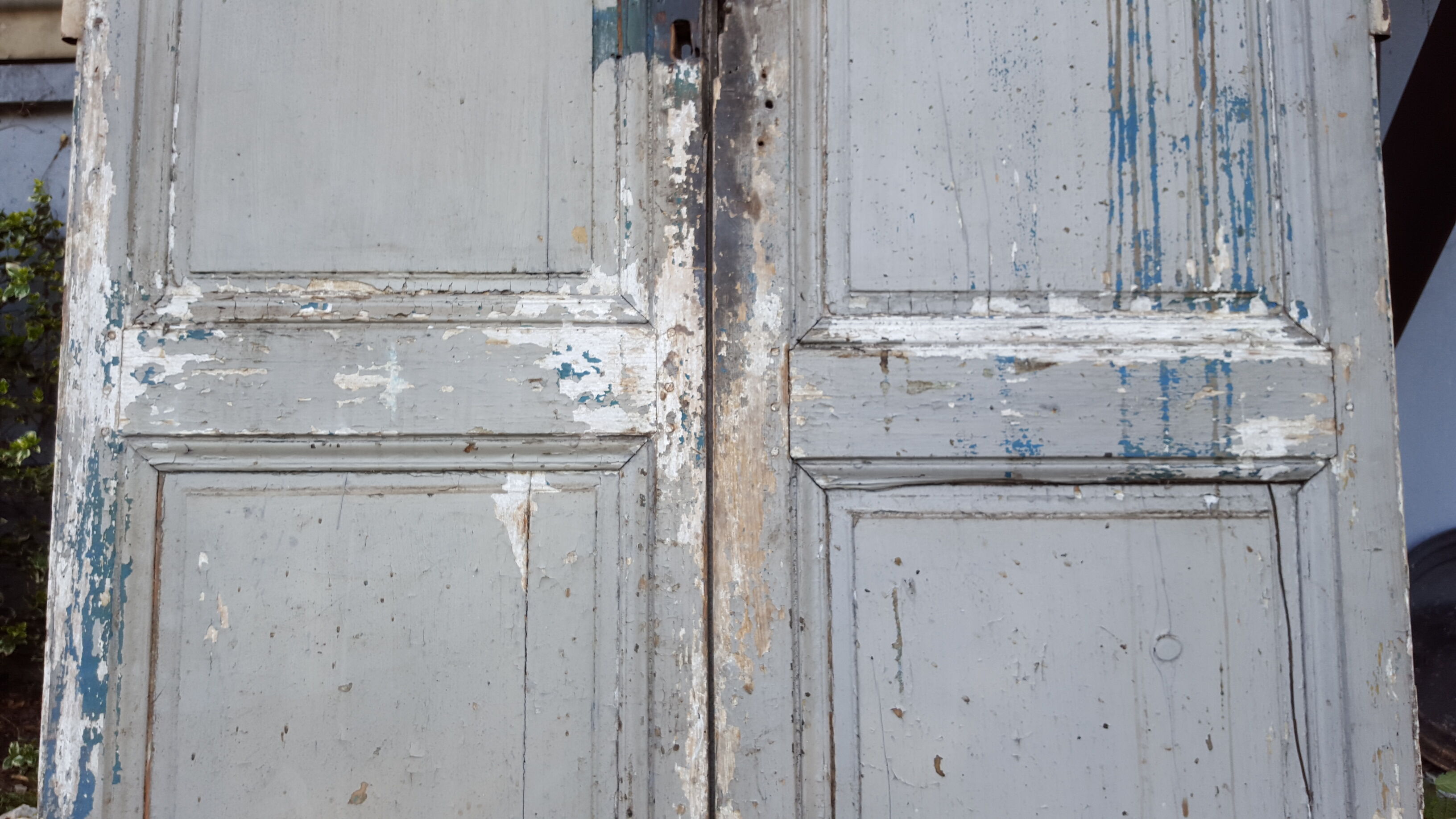Pair of doors XVIII