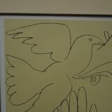 Picasso "woman with a dove"