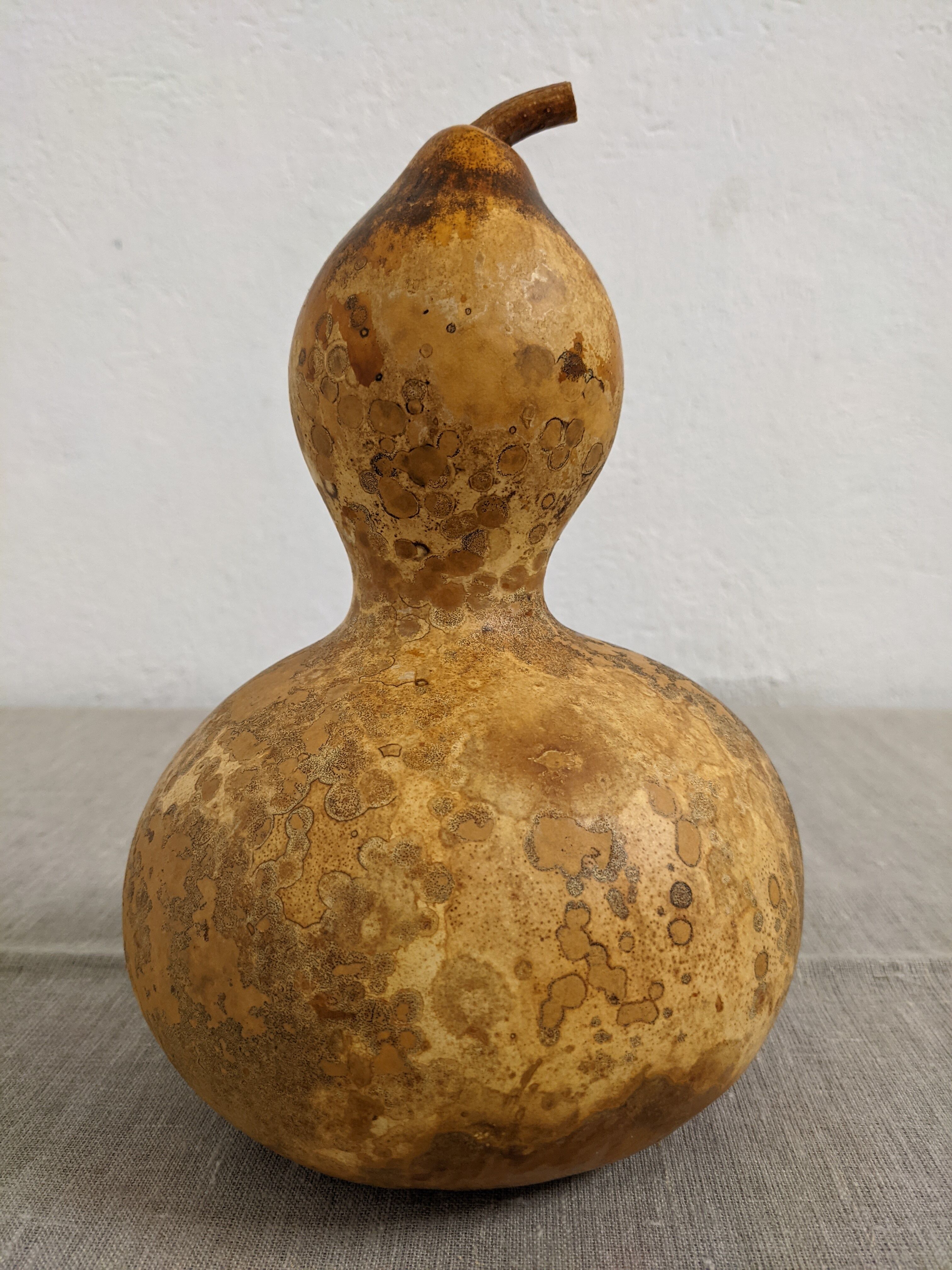 Set of 3 decorative dried coloquintes from the 70s
