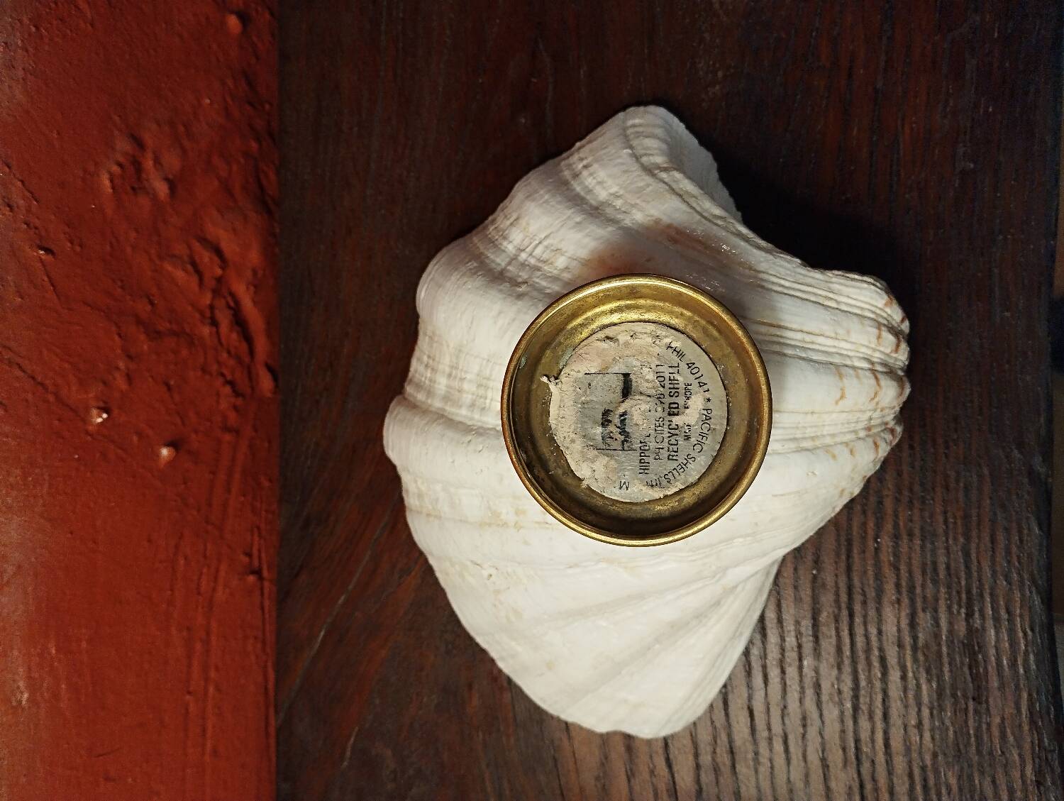 Shell on base, holy water font