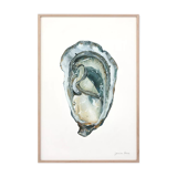 "Paule", the oyster, art print 21/29.7 cm