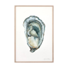 "Paule", the oyster, art print 21/29.7 cm