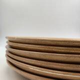 Stoneware plates