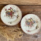2 small Terre de fer “birds” plates