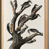 Poster about the peaks, based on an old engraving from 1827.