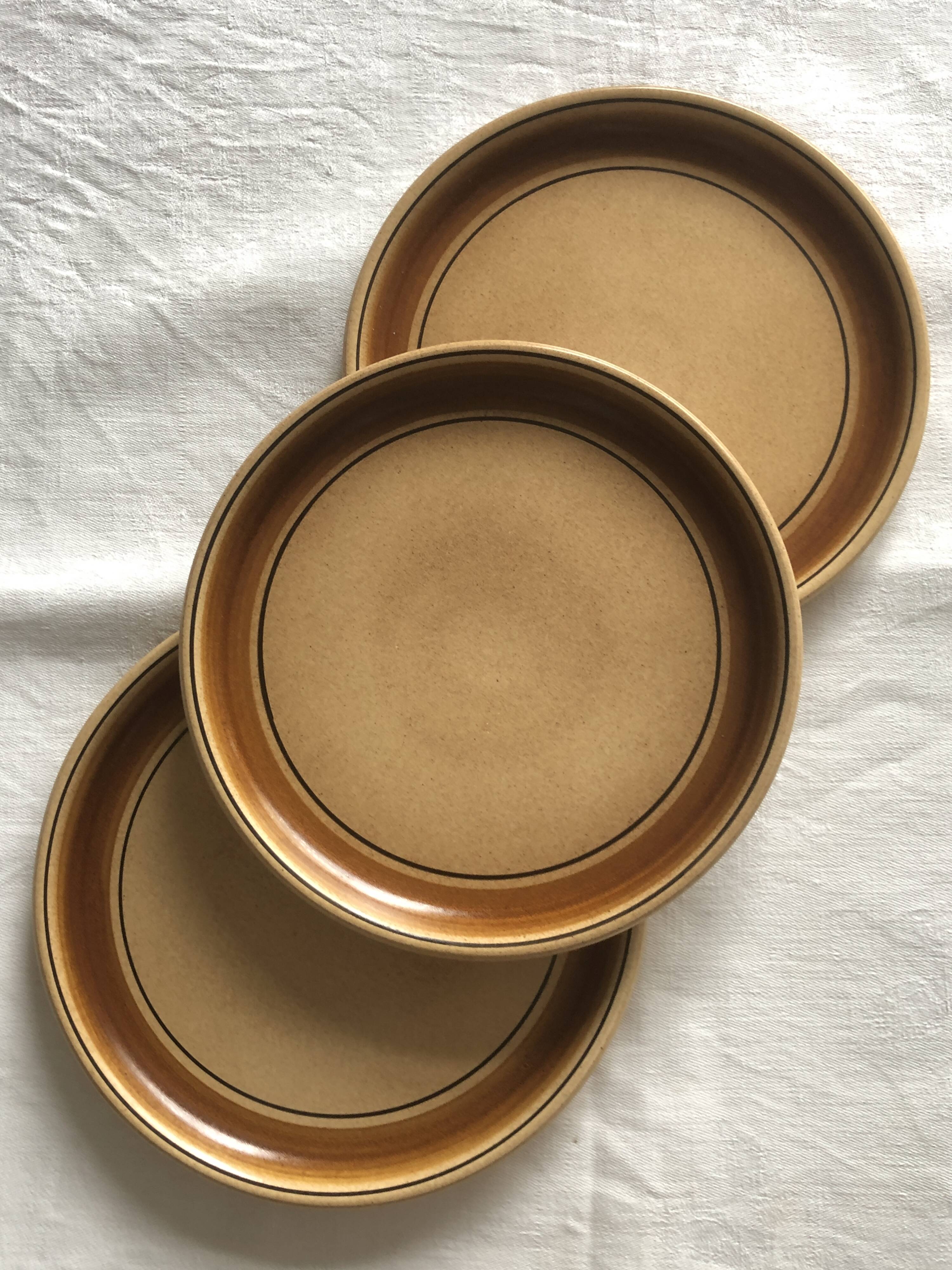 Salins stoneware dinner plates