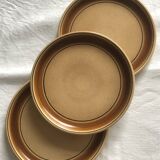 Salins stoneware dinner plates