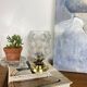 Antique globe table lamp in moulded transparent glass with a brass base.