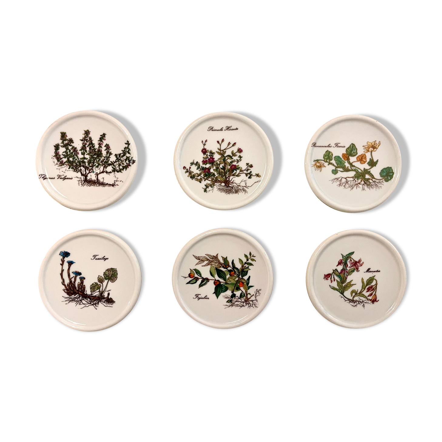 6 under glass porcelain 1970