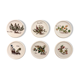 6 under glass porcelain 1970