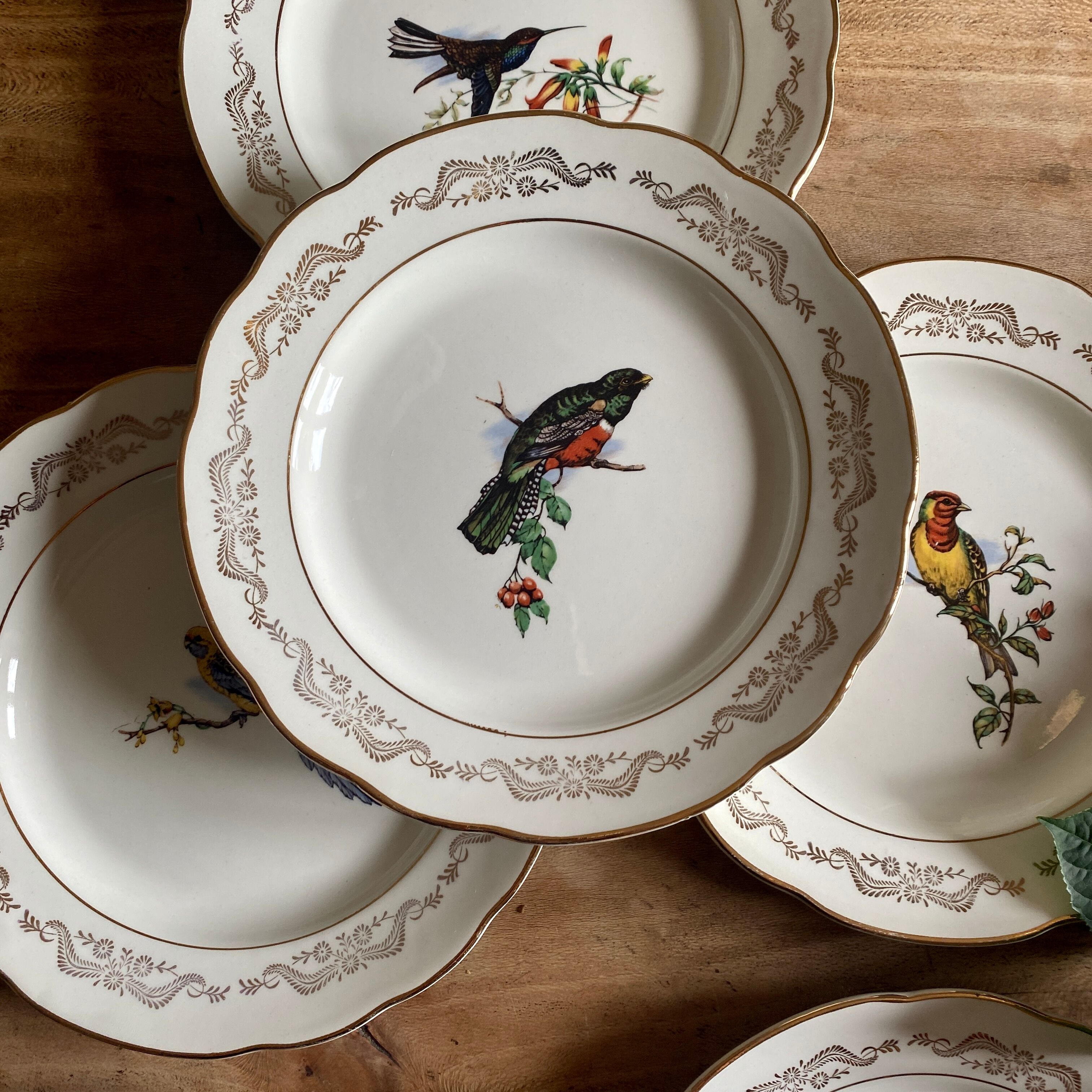 Set of 6 flat plates vintage model Moineaux de Paris de Gien