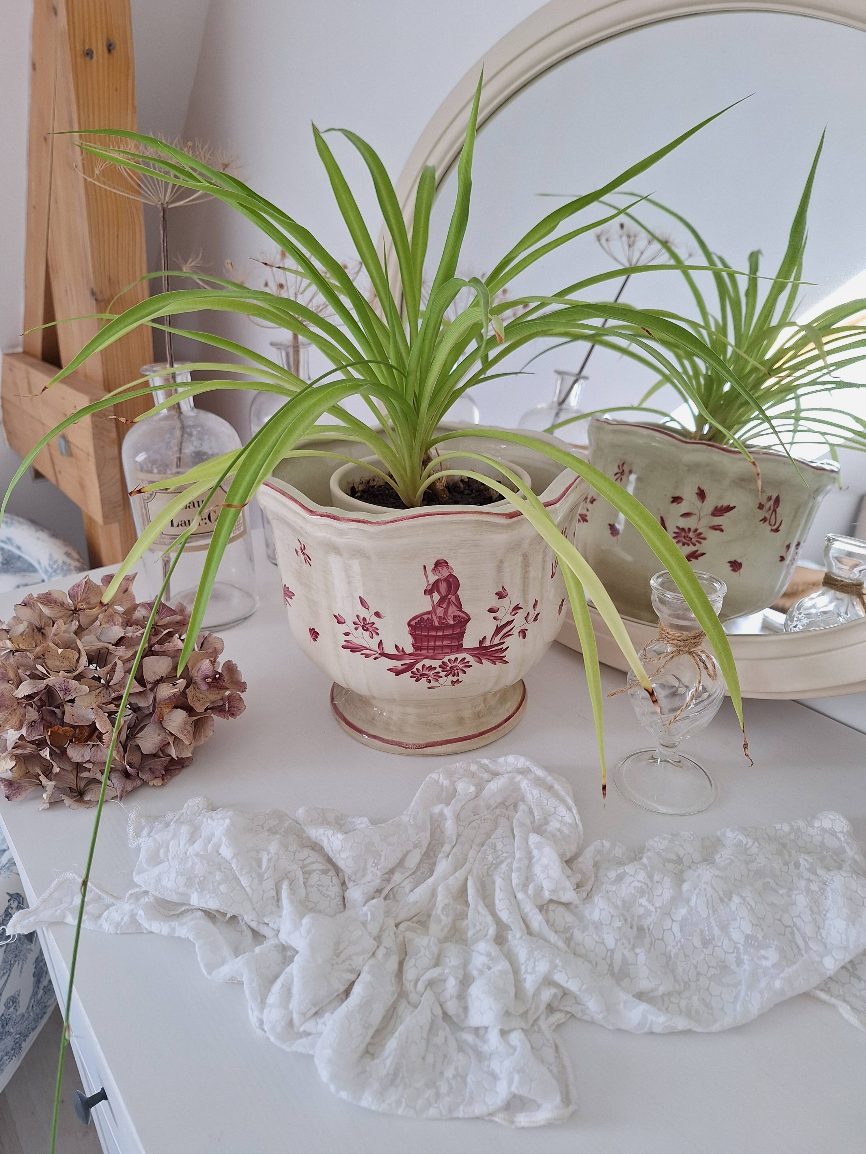 Longchamp pink planter
