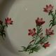 Set of 6 digoin sarreguemines earthenware dinner plates. aude model.