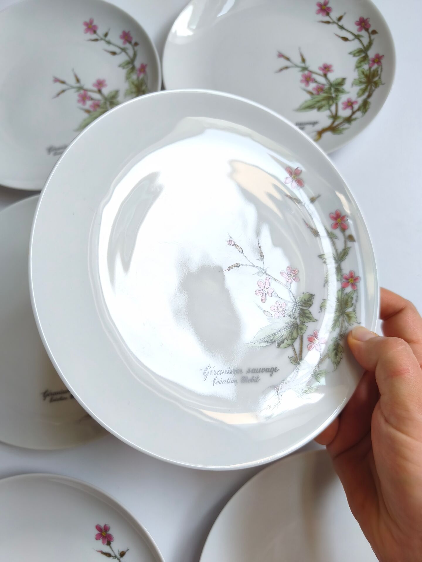 Lot de 6 assiettes à dessert de Bavière mobil décor fleurs roses