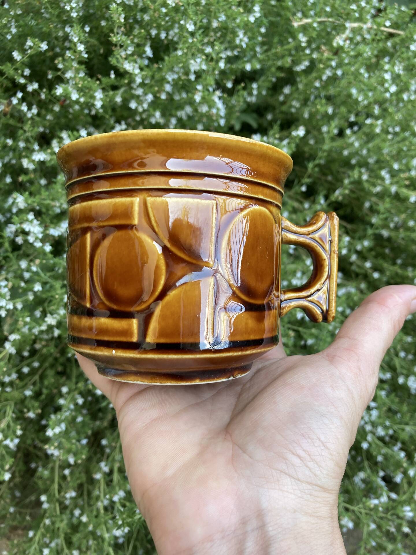 Space Age camel mugs