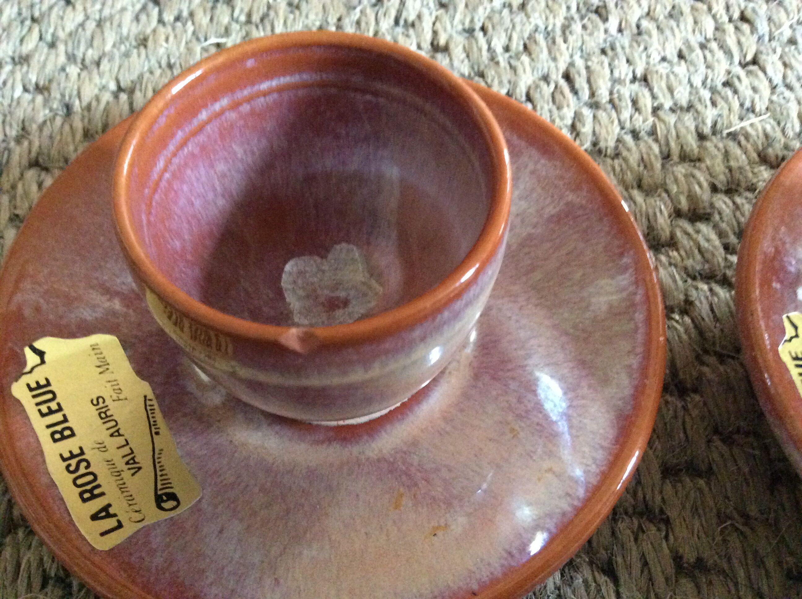 Series of 2 cockroats