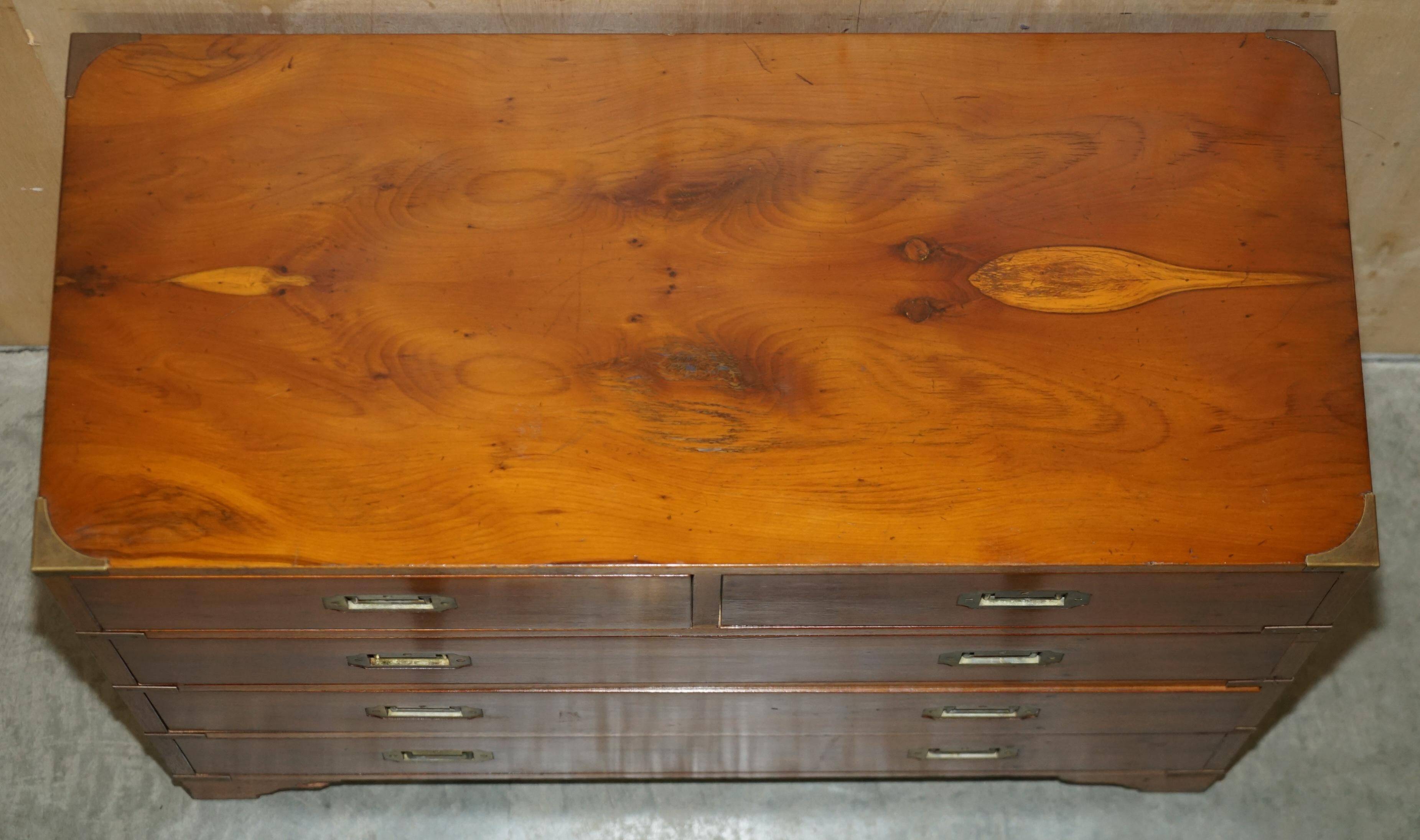 Vintage military campaign chest of drawers in burr yew wood.