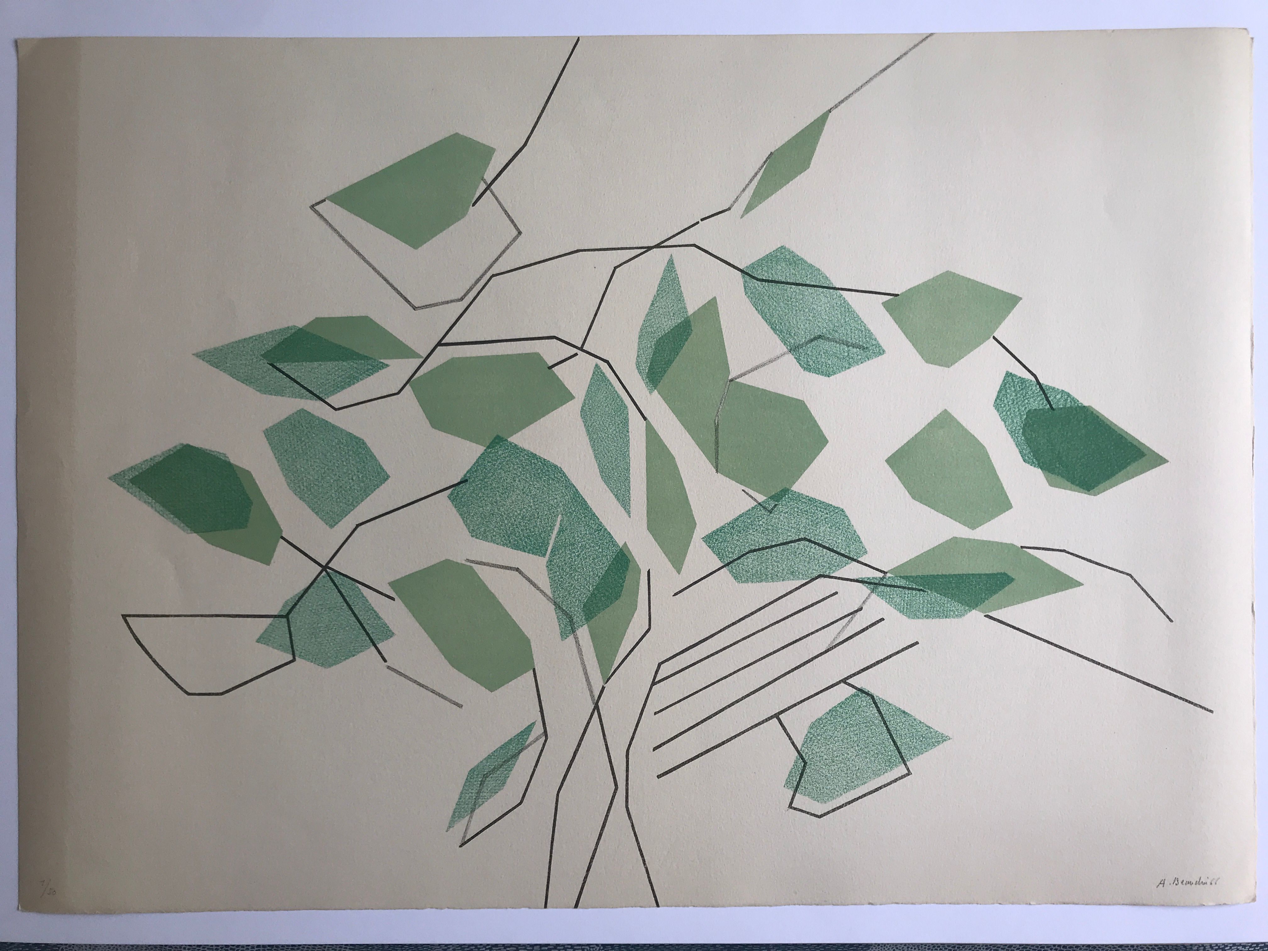 Lithograph on paper signed and numbered by André BEAUDIN, Arbre et feuilles III, 1966