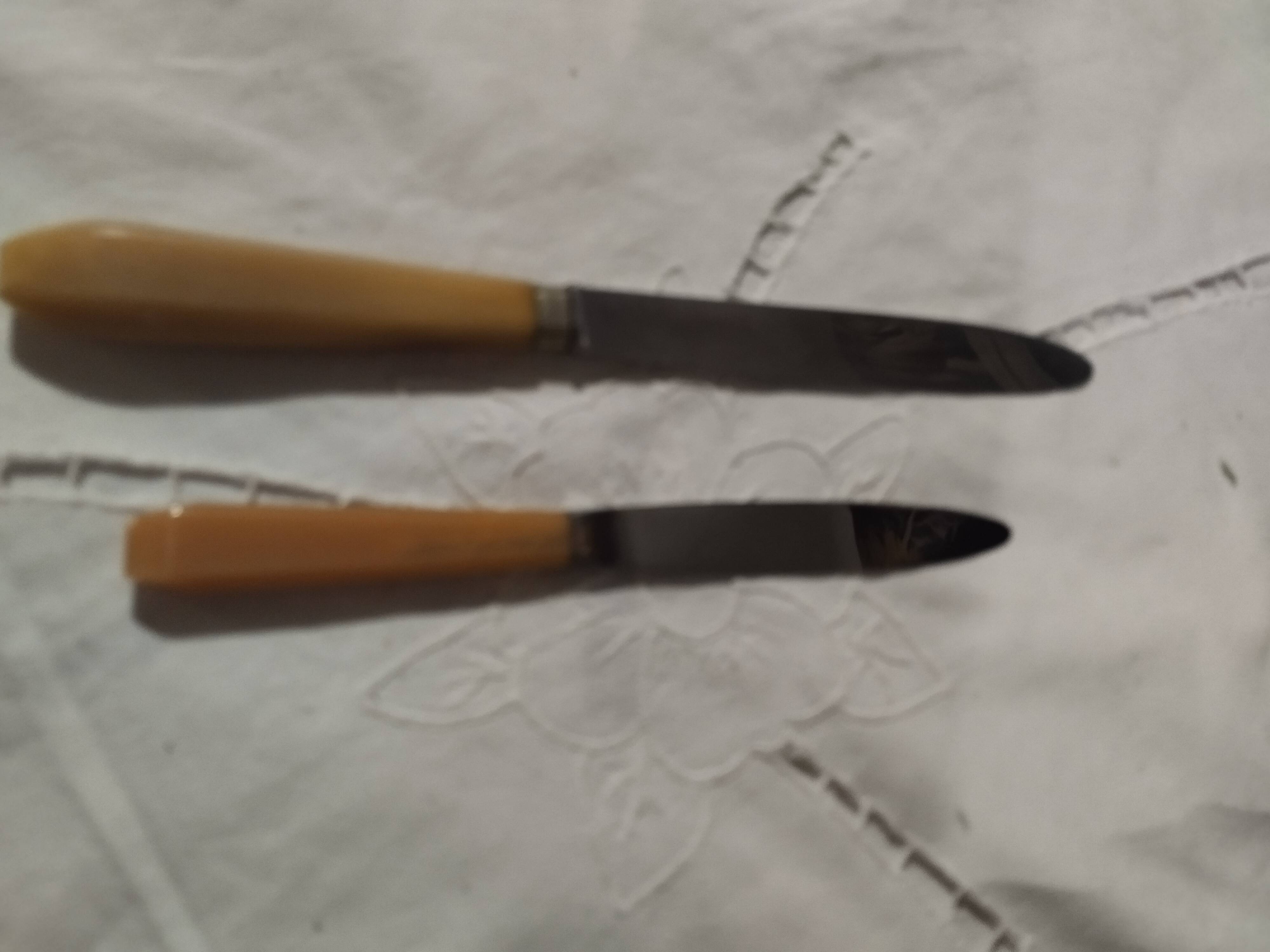ménagère de couteaux en corne