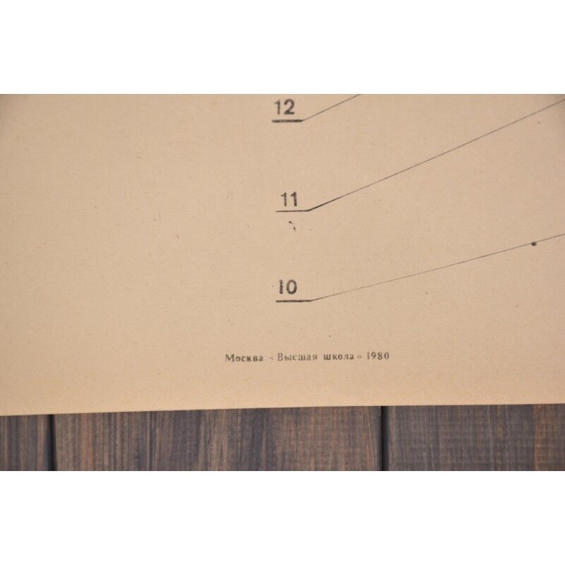 Double sided educational print