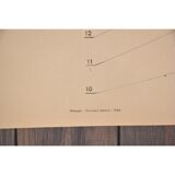 Double sided educational print