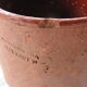Isoard Vallauris terracotta pot
