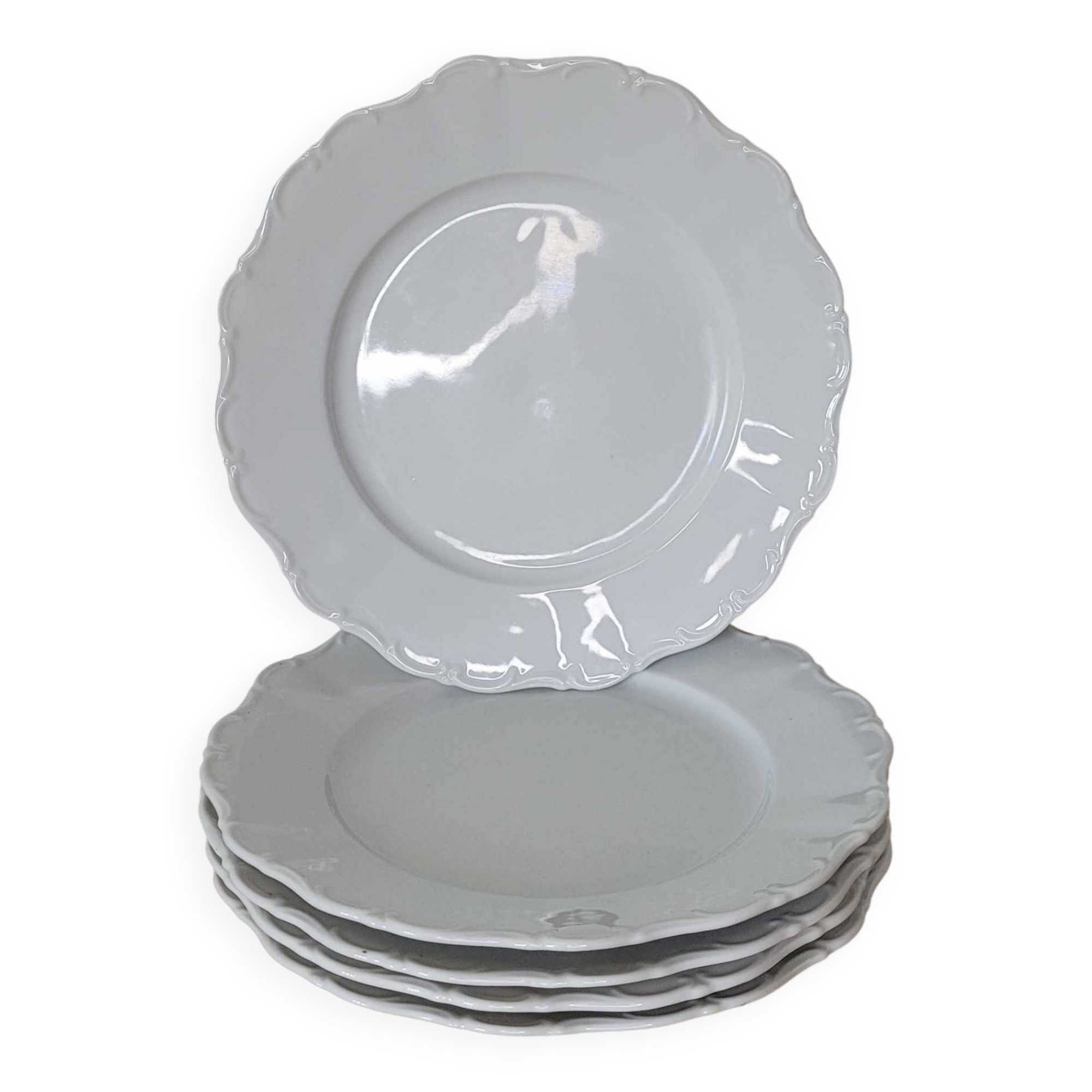 6 Seltmann Weiden Bavaria porcelain dinner plates